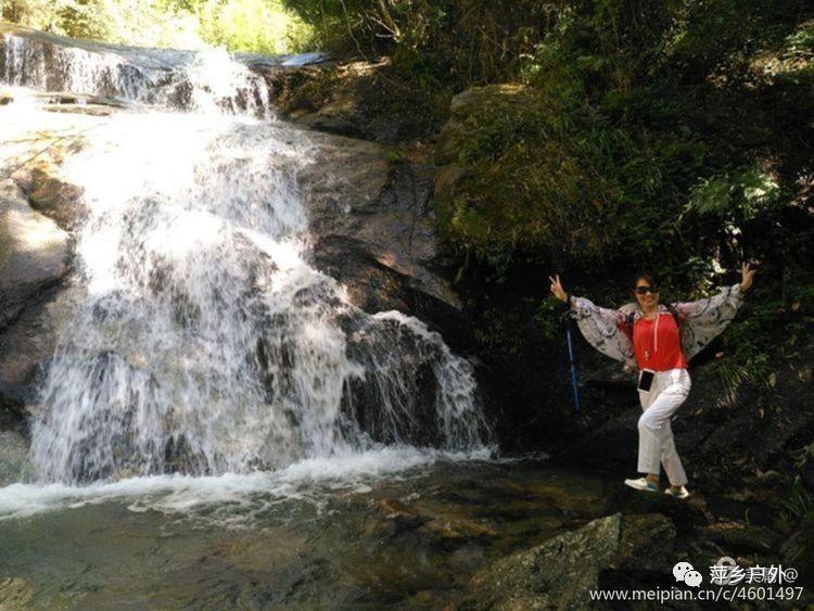 采年货 享年味 莲湖区商居联盟新春消费节“龙”重登场